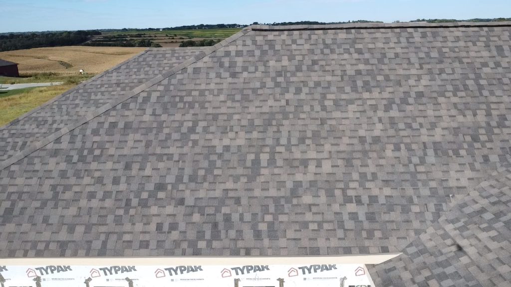 IKO Driftshake roof view 4